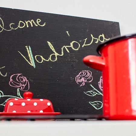 Vadrozsa Vendeghaz Racalmasゲストハウス エクステリア 写真