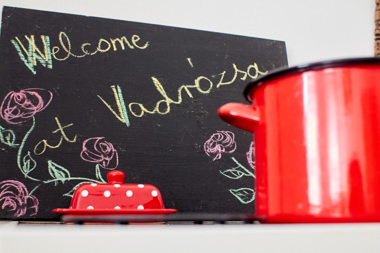 Vadrozsa Vendeghaz Racalmasゲストハウス エクステリア 写真